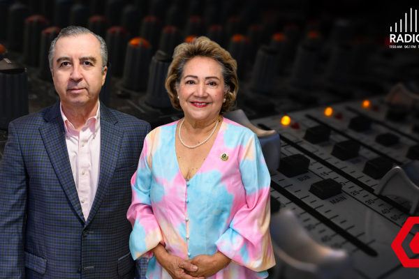 Enlace profesional
